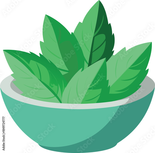 Fresh green mint leaves displayed in a simple teal ceramic bowl illustration isolated on white background
