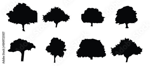  tree silhouettes vector 
