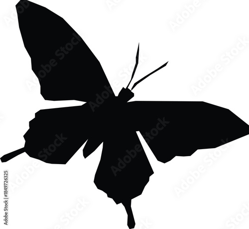 butterfly silhouette vector
