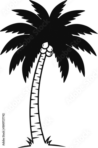 A simple black and white illustration of a palm tree with coconuts on a white background