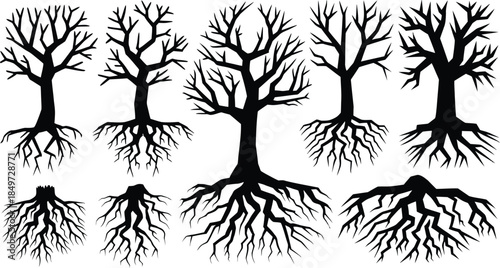 Dead Tree Silhouettes with Roots and Bare Branches Vector Collection