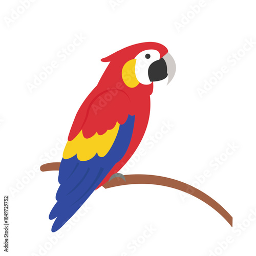 Colorful Scarlet Macaw Parrot Perched on a Branch.