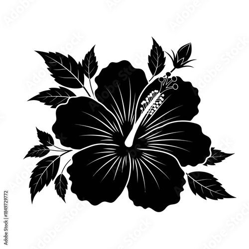 Elegant black and white silhouette of a flowering hibiscus with detailed leaves for botanical
