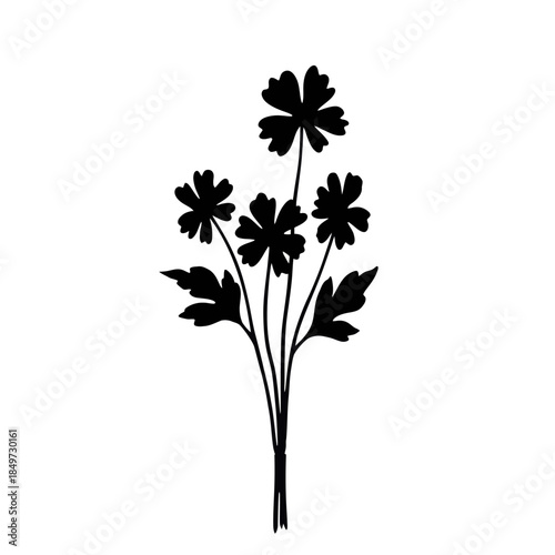 Silhouette of a delicate botanical arrangement with detailed leaves and blossoms on a stark white