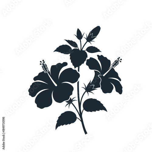 Silhouetted tropical hibiscus plant with lush leaves and blooming flowers isolated on a white