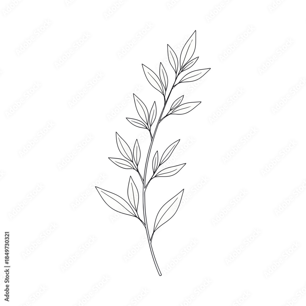Naklejka premium Elegant minimalist illustration of a delicate leafy branch capturing natural simplicity and