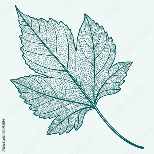 Dynamic Basketball Player Silhouette - Athletic Action Vector Graphic