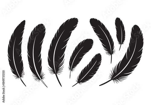 Black Feather Silhouette Vector Set – Hand Drawn Bird Feathers, Boho Tribal Decorative Elements Isolated on White