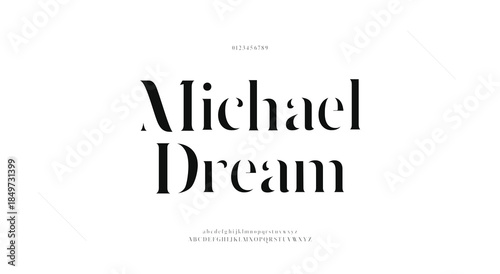 Elegant alphabet letters classic font. Classic Modern Serif Lettering Minimal Fashion Designs. Typography  decoration fonts for branding, wedding, invitations, logos. vector illustration