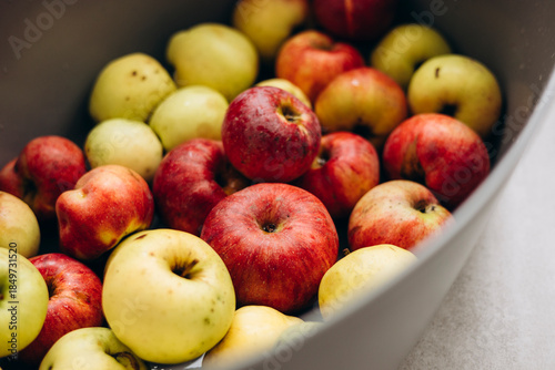 Quadro em tela Rustic imperfect apples in bowl, natural farm fruit.