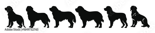 saint bernard dog silhouettes vector set silhouette of dogs