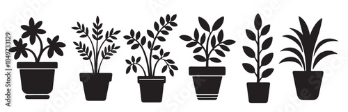 six black silhouette houseplants in pots various leaf shapes 