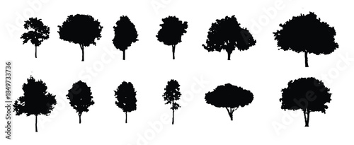  tree silhouetees vector
