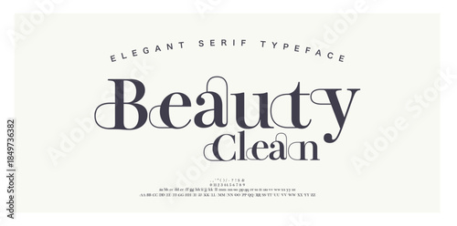 Luxury alphabet letters font and number. Typography Elegant classic lettering serif fonts decorative wedding vintage retro concept. vector illustration