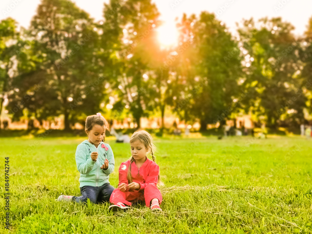 Fototapeta premium The best friends playing together