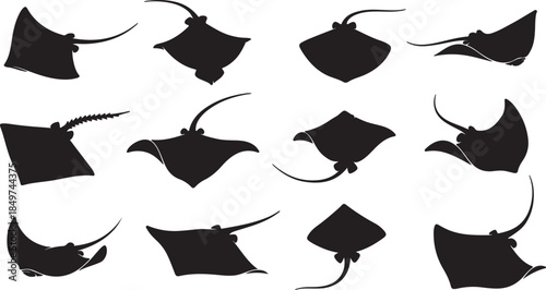 Set of stingray silhouette and icons