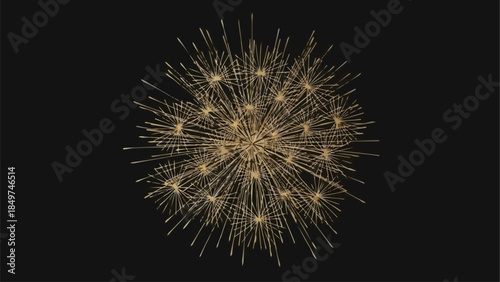 fireworks in the sky