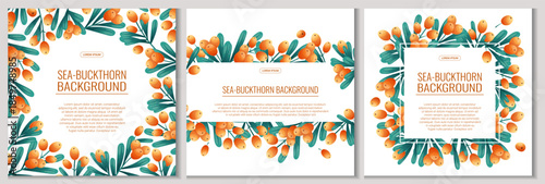 A set of colorful backgrounds with sea buckthorn twigs and berries. The concept of autumn, tea drinking. Vector illustration for the design of posters, flyers, postcards and invitations