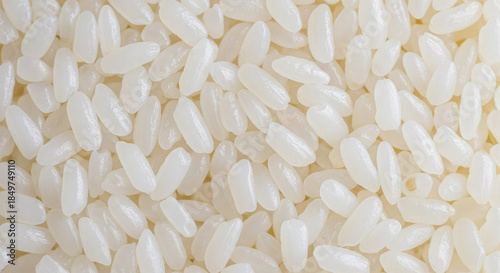 Macro close-up shot of raw, short-grain white sushi rice, showing the pearly texture and detail of the grains
