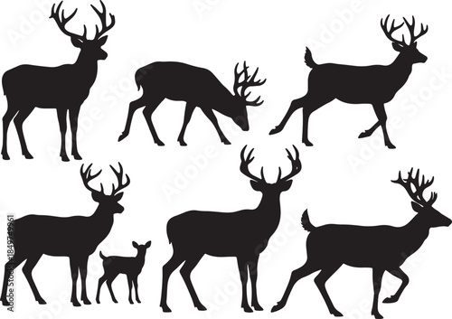 Collection of black silhouettes of deer and a fawn in various poses against a white background showcasing their antlers and graceful forms also transparent background
