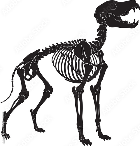 Detailed black silhouette of a canine skeleton showcasing its anatomical structure including skull ribs and limbs against a stark white background also transparent background