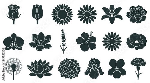 Large collection of black flower silhouettes featuring various popular blooms like rose, tulip, sunflower, and lily in a minimalist graphic icon style for design elements