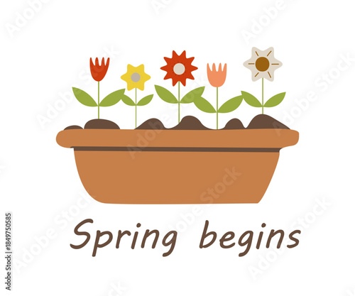 Flower and garden Spring flowers in a garden pot Vector illustration on the theme of gardening and floriculture Spring bulbous plants