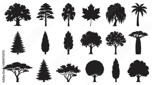 Diverse collection of black tree silhouettes showing different species of plants including deciduous, coniferous, and tropical trees for environmental or nature illustrations