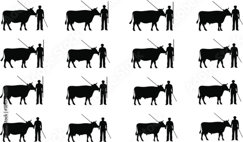Farmer with cow silhouettes set, rural agriculture livestock scenes, traditional cattle herding poses, black countryside animal illustrations isolated on white background