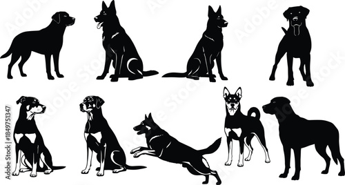 Dog silhouette collection featuring various breeds, sitting standing running poses, black animal shapes, pet icons vector illustration set