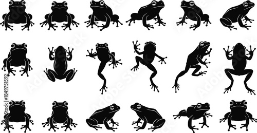 Frog silhouettes collection black vector set amphibian poses wildlife animal icons isolated on white background illustration