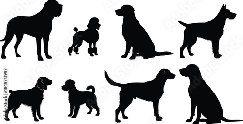 Dog silhouettes collection, different breeds poses set, domestic pet animals, canine profiles, black and white vector illustration