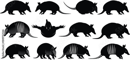 Armadillo silhouette vector collection showing multiple poses, black wildlife animal icons isolated on white background for design and branding projects