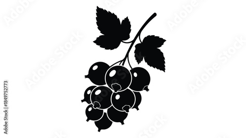 Black silhouette of a cluster of currants with leaves on a isolated on white background