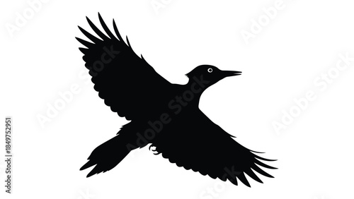 Black bird silhouette flying isolated on white background