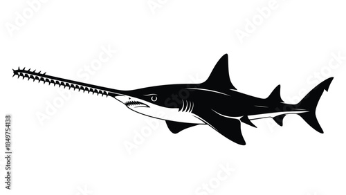 Black silhouette of a sailfish swimming isolated on white background