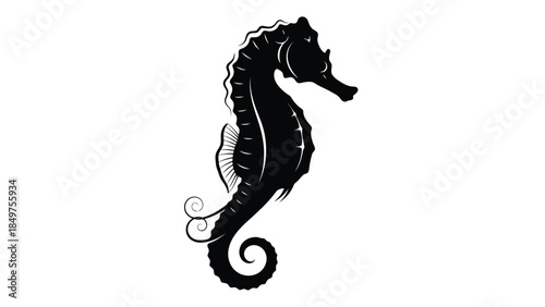 Black silhouette of a seahorse with curled tail and dorsal fin isolated on white background