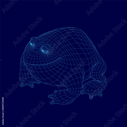 A plump frog wireframe model in 3D, rendered with a geometric mesh structure on a solid blue background.