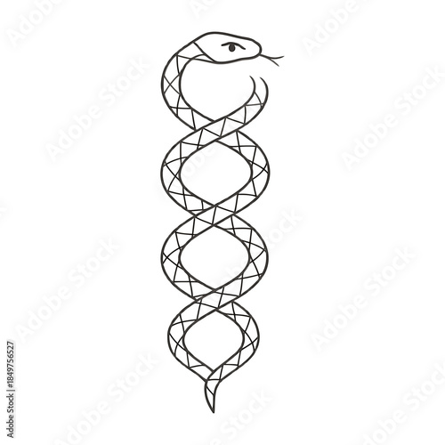 Coiled serpent with geometric pattern design in black and white.