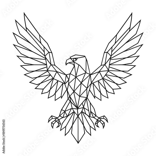 Geometric eagle outline with outstretched wings on white background.