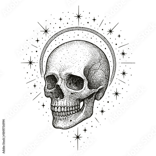 Intricate skull illustration with celestial elements in black and white.