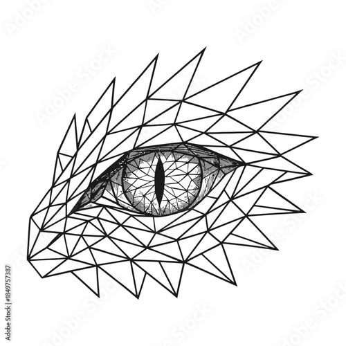 Geometric dragon eye with intricate polygonal patterns in black and white.