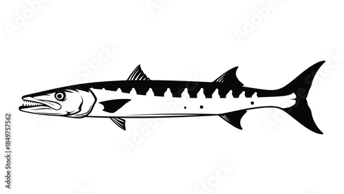 Black and white illustration of a tarpon fish in flat design isolated on white background