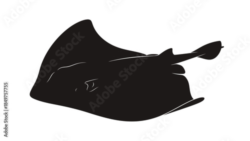 Black silhouette of a stingray swimming against a isolated on white background