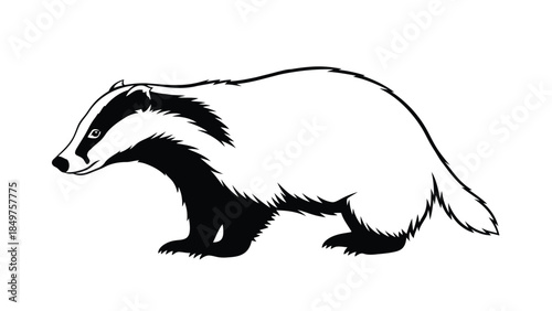 Black and white badger silhouette walking isolated on white background