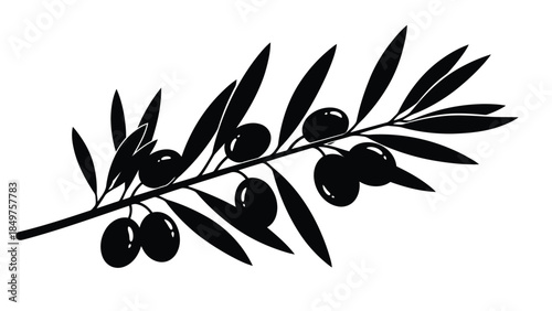 Black silhouette of an olive branch with leaves and berries isolated on white background