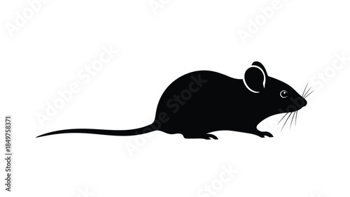 Black silhouette of a mouse in profile against a isolated on white background