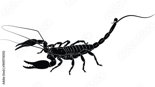 Black silhouette scorpion standing sideways isolated on white background