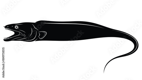 Silhouette of an electric eel fish swimming on a isolated on white background