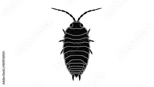 Black silhouette of a cockroach insect isolated on white background